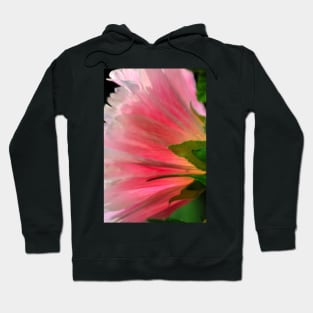 Hollyhock 10 Hoodie